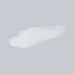 Scalp Moisture Lotion Texture