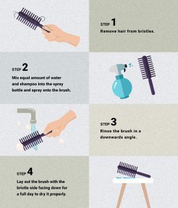 Hair Brush steps