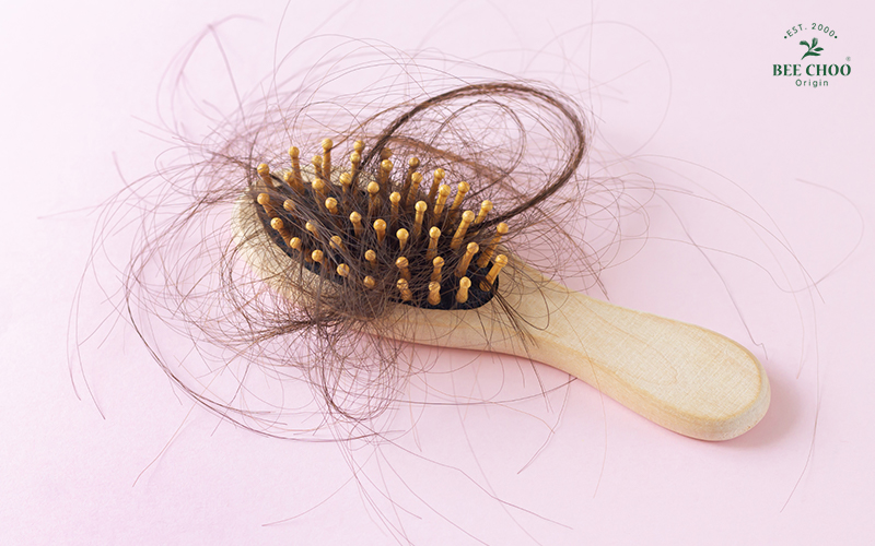 Wooden hairbrush filled with tangled hair strands, symbolizing hair loss