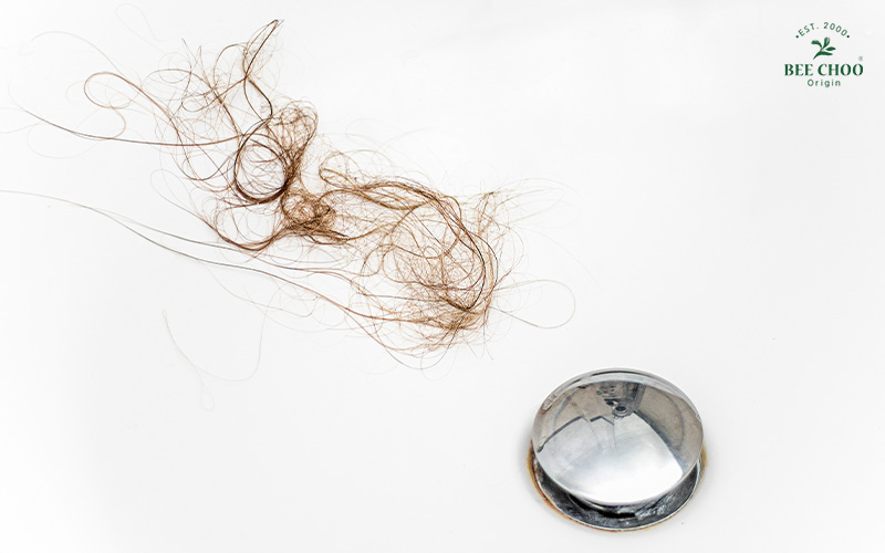 A clump of hair near a shower drain, showing hair fall.
