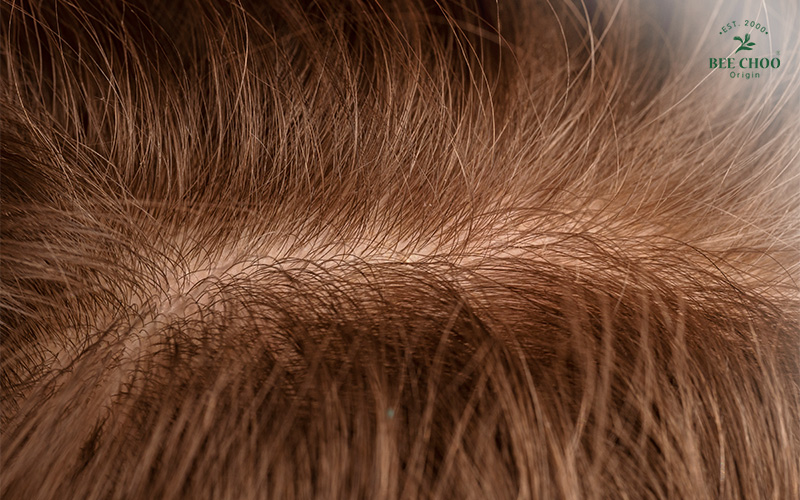 A rendered picture of hair roots