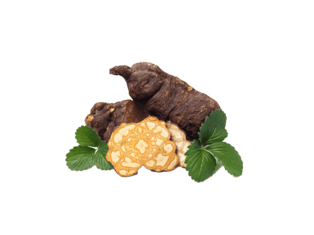 herb img 2 min 1