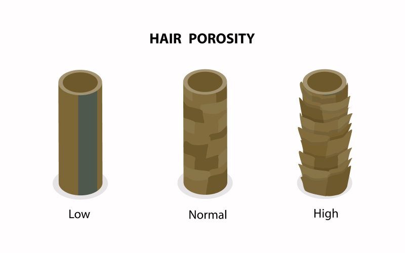 Hair Porosity Explained: Why Two People With the Same Hair Type Can Have Completely Different Results 1 1
