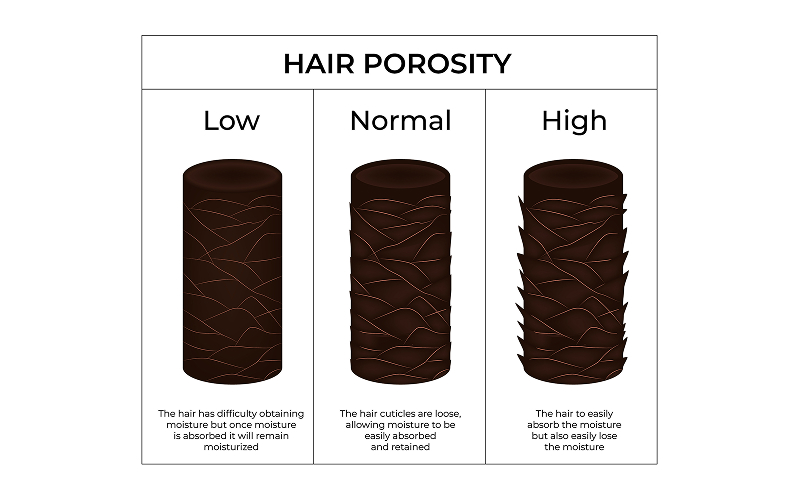 Hair Porosity Explained: Why Two People With the Same Hair Type Can Have Completely Different Results 2 2