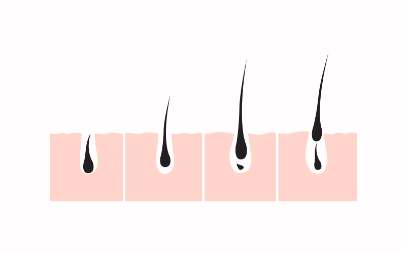 Hair Porosity Explained: Why Two People With the Same Hair Type Can Have Completely Different Results 3 3